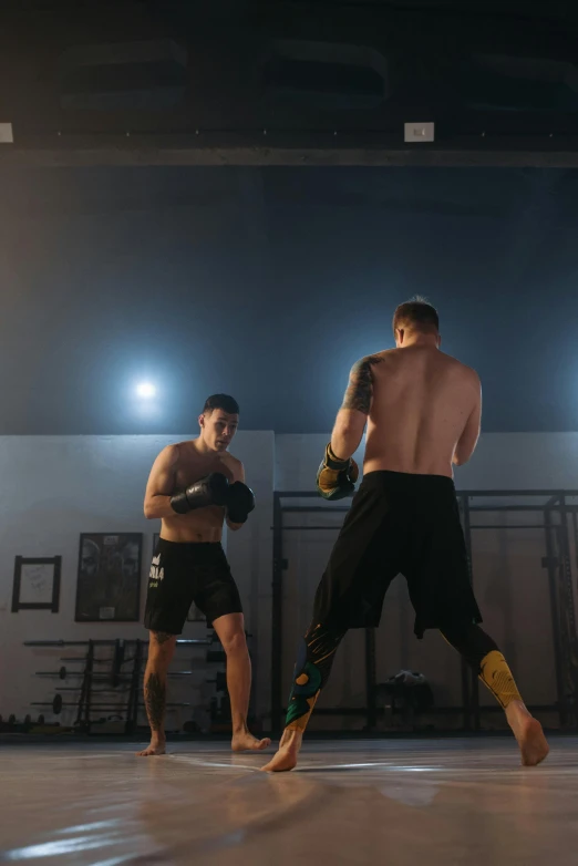 a couple of men standing next to each other in a gym, by Matt Cavotta, happening, in a fighting stance, high lights, open belly, programming