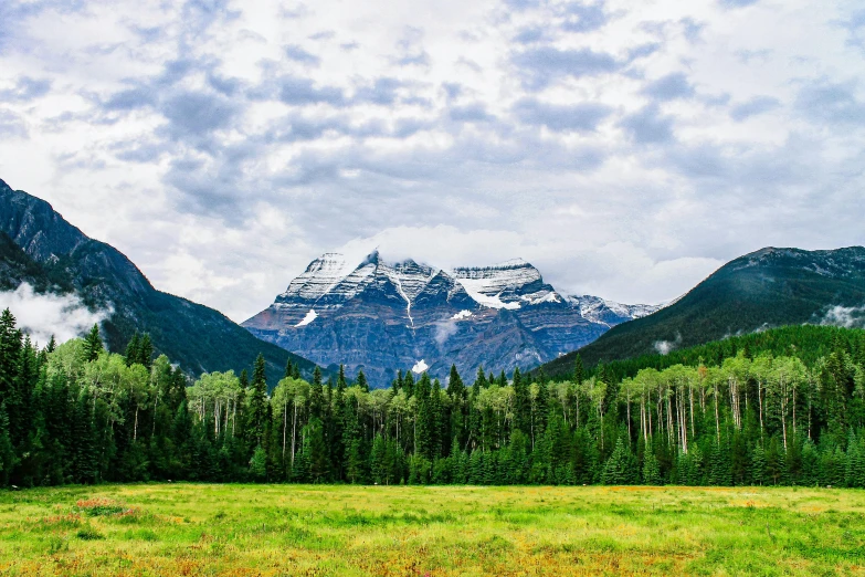 a grassy field with trees and mountains in the background, unsplash contest winner, yeg, glacier, chesley, conde nast traveler photo