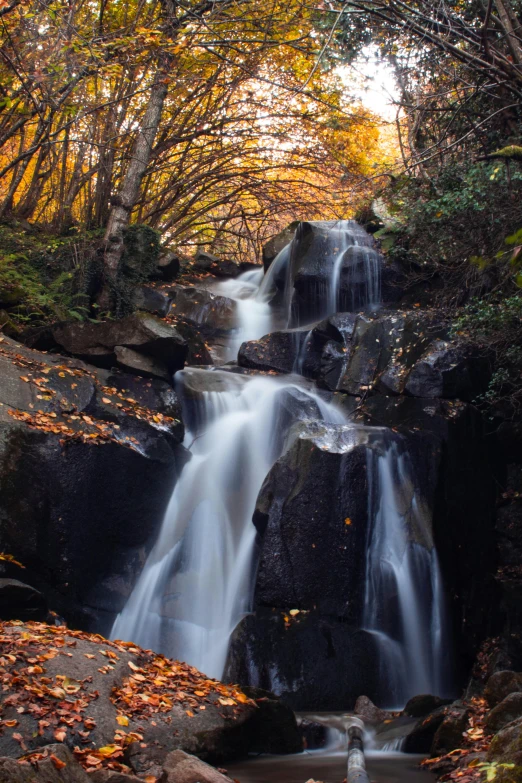 a small waterfall in the middle of a forest, by Ivan Grohar, unsplash contest winner, renaissance, autumn mountains, 2 5 6 x 2 5 6 pixels, slide show, thumbnail