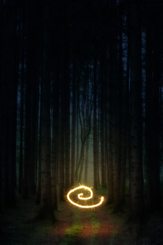 a light painting in the middle of a forest, inspired by Andy Goldsworthy, unsplash, golden spirals, evening!! in the forest, made with photoshop, ((forest))