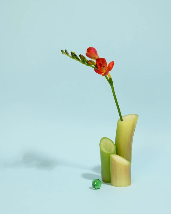 a close up of a flower in a vase on a table, a still life, inspired by Kaigetsudō Ando, new sculpture, bamboo, official product photo, multiple stories, 0