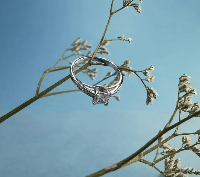 a diamond ring sitting on top of a plant, inspired by Tracey Emin, pexels contest winner, photorealism, overhanging branches, silver，ivory, advert, getty images proshot