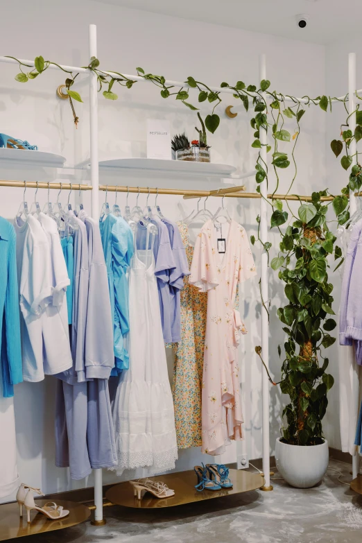 clothes hanging on a rack in a clothing store, by Nicolette Macnamara, lush plants and flowers, light blue robes, lots of pastel colour, wearing white clothes