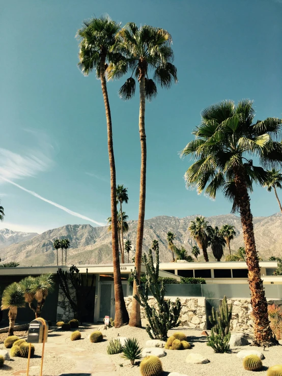 palm trees in front of a house with mountains in the background, a photo, trending on unsplash, modernism, 💋 💄 👠 👗, brutalist courtyard, frank lloyd wright, photo taken with an iphone