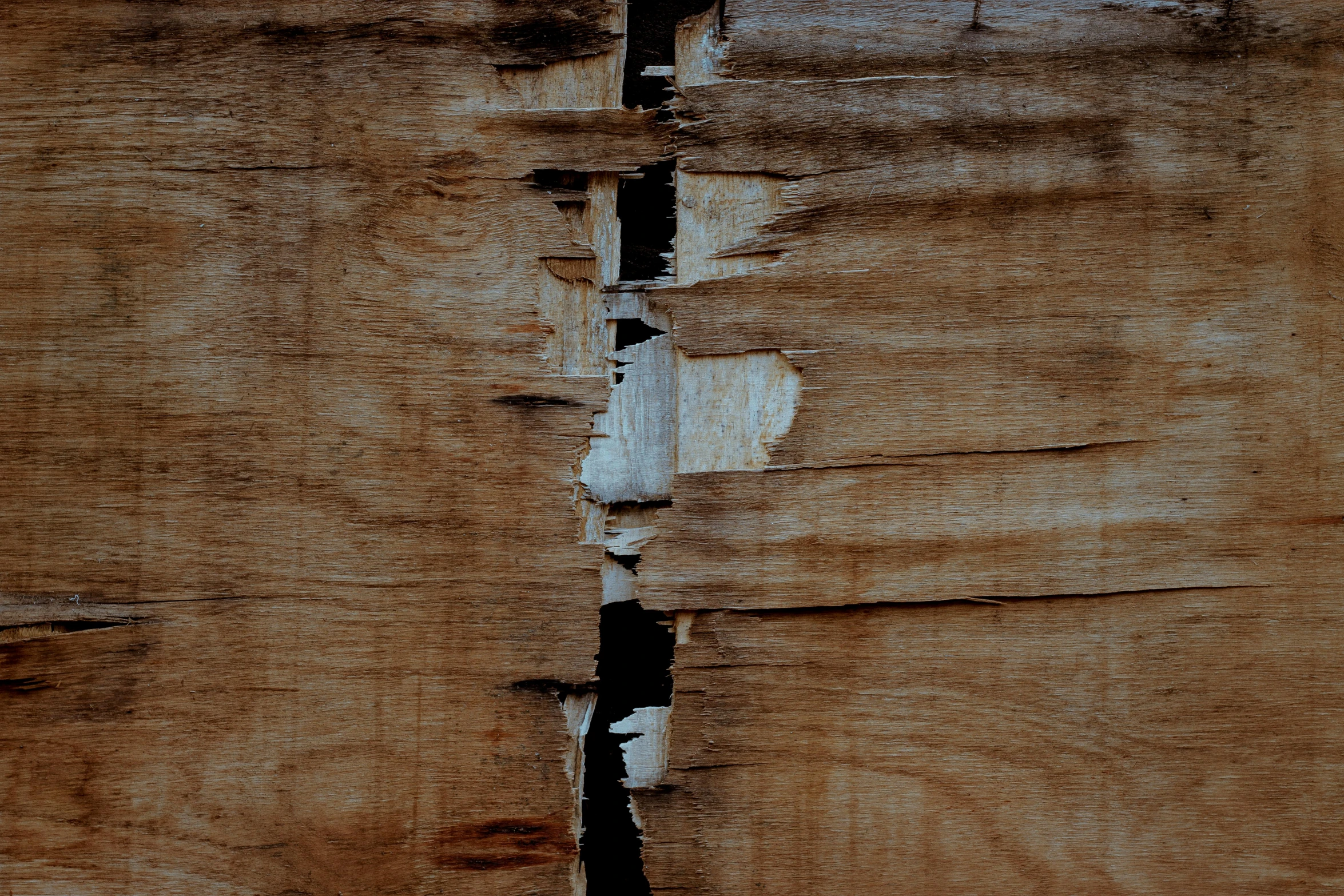 a couple of pieces of wood sitting next to each other, trending on pexels, background image, torn edges, thick linings, brown