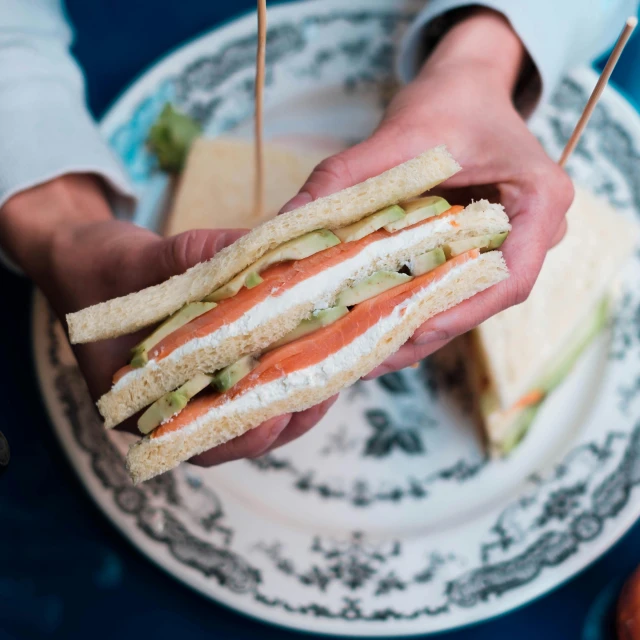 a person holding a sandwich on a plate, by Julia Pishtar, pexels contest winner, bauhaus, salmon khoshroo, vintage vibe, trimmed with a white stripe, sleek hands