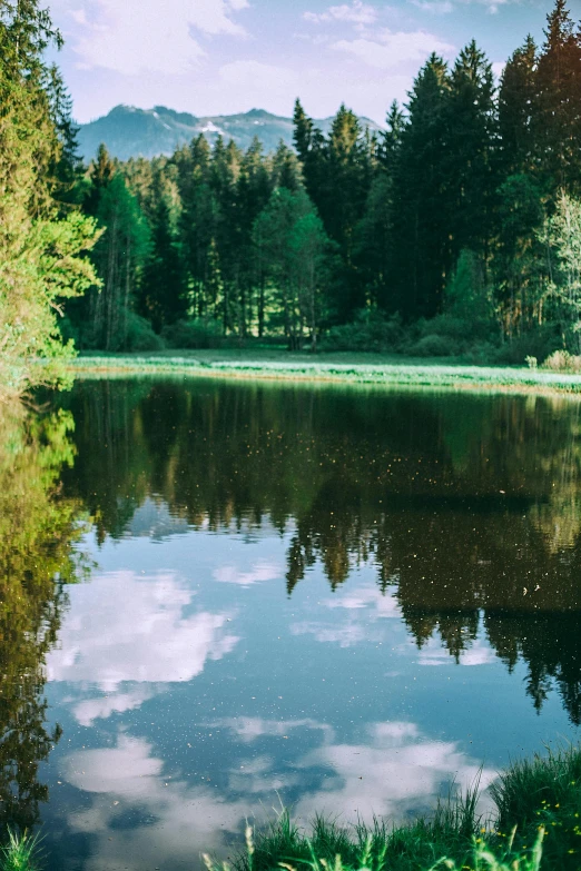 a body of water surrounded by trees and grass, bright nordic forest, lush surroundings, historical setting, outdoors