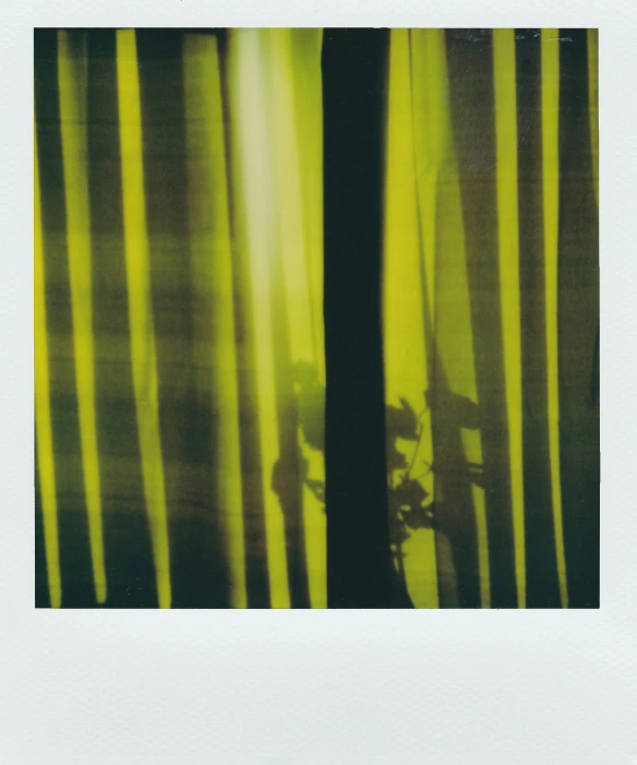 a picture of a person standing in front of a window, a polaroid photo, inspired by Elsa Bleda, conceptual art, yellow and green, glowing drapes, ((forest)), hitoshi ashinano