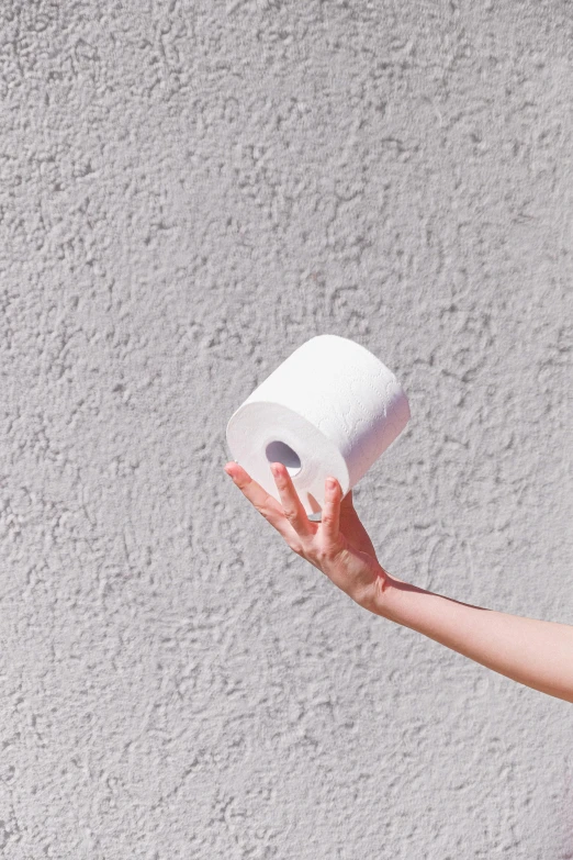 a woman holding a roll of toilet paper in her hand, by Nicolette Macnamara, trending on unsplash, happening, clemens ascher, wrinkles and muscle tissues, nice weather, porcelain organic tissue