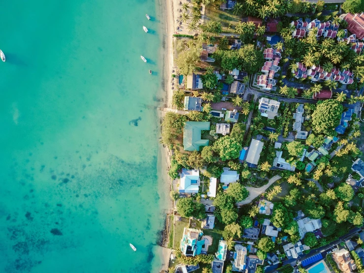 a large body of water next to a beach, a screenshot, pexels contest winner, neighborhood, flat lay, tropical location, 5 7 9