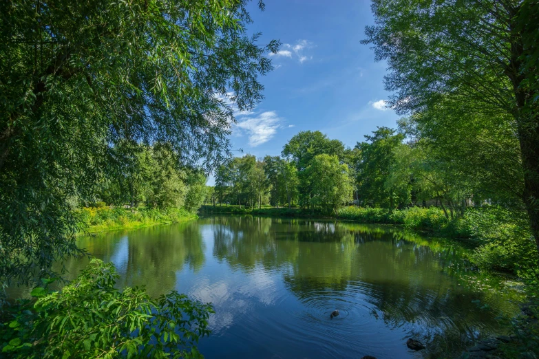 a river running through a lush green forest, by Daarken, visual art, a photo of a lake on a sunny day, esher, blue sky, shot on sony a 7 iii