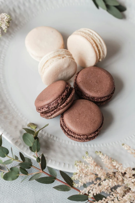 a white plate topped with macarons and flowers, a portrait, unsplash, gradient brown to silver, chocolate. rugged, 3 - piece, traditional medium