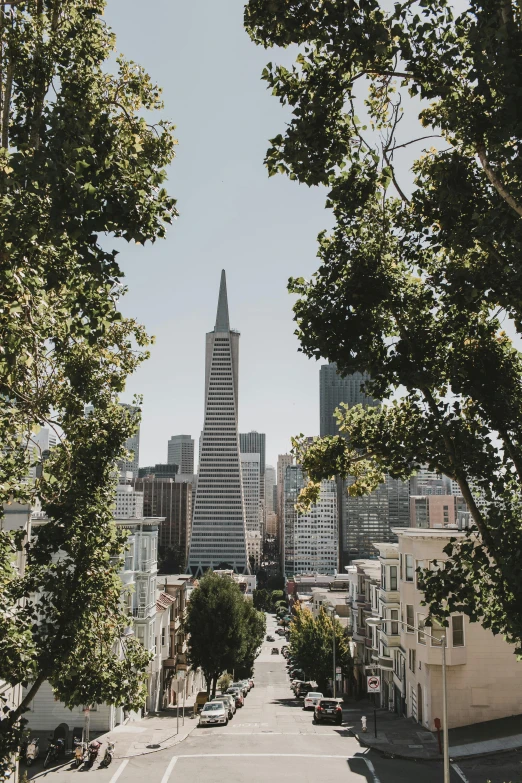 a view of a city from the top of a hill, by Carey Morris, unsplash contest winner, modernism, redwood trees, summer day, minarets, 90s photo