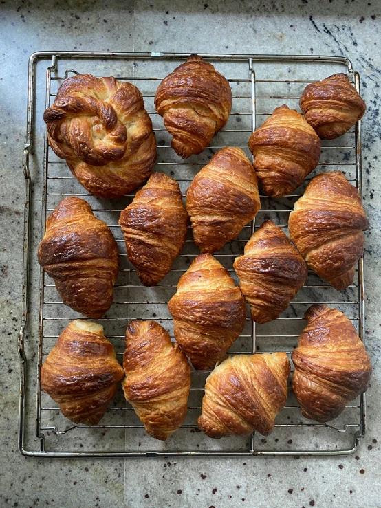 freshly baked croissants on a cooling rack, by Tom Bonson, 2019, petite, various sizes, burned