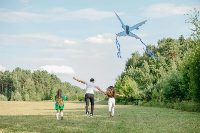 a family flying a kite in a field, by Niko Henrichon, pexels contest winner, conceptual art, blue arara, dragonfly-shaped, product introduction photo, simin stalenhag