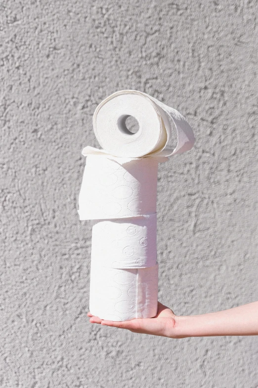 a person holding a roll of toilet paper in their hand, varying thickness, muscle tissue, white ceramic shapes, 4l