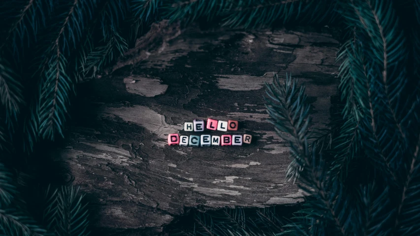 a couple of letters sitting on top of a tree, trending on pexels, (1 as december, hello, wooden, hd wallpaper