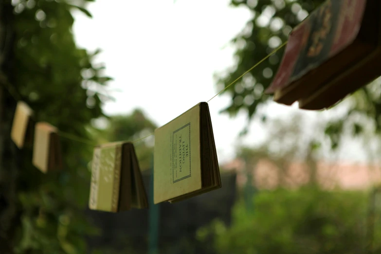 a string of books hanging from a tree, assam tea garden setting, muted green, handcrafted, detail