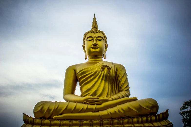 a large golden buddha statue sitting on top of a lush green field, a statue, pexels contest winner, avatar image, malaysian, lgbtq, blue