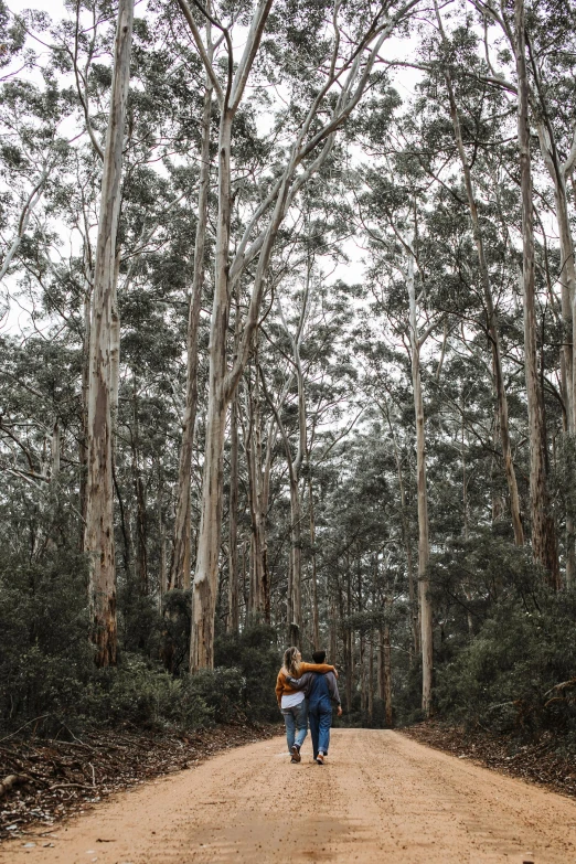 a couple of people walking down a dirt road, a picture, by Elizabeth Durack, unsplash contest winner, eucalyptus forest background, towering high up over your view, hugging each other, bulli