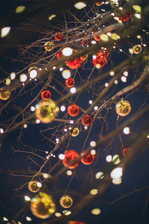 a bunch of christmas ornaments hanging from a tree, a picture, by Dan Content, pexels, lights with bloom, square, low detail, winter