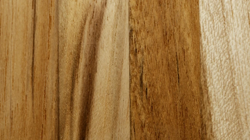 a close up of a piece of wood, detailed product image, savannah, half and half, manuka