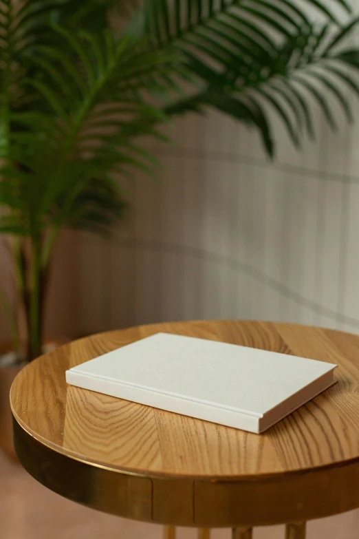 a book sitting on top of a wooden table, by Alice Mason, postminimalism, white soft leather model, dwell, rectangular, circular