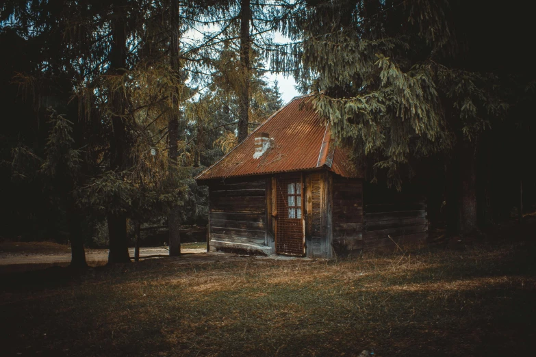 a small cabin sitting in the middle of a forest, pexels contest winner, renaissance, old house, brown, album photo, ( 3 1