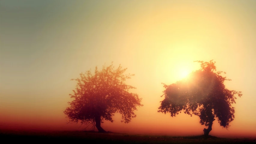 a couple of trees sitting on top of a lush green field, pexels contest winner, romanticism, light orange mist, lens flare photo real, soft light - n 9, red and orange glow