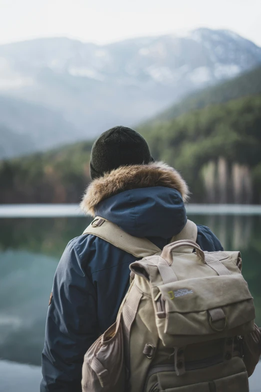 a person with a backpack looking out over a lake, wearing jacket, muted cold colors, iconic scene, in front of a forest background