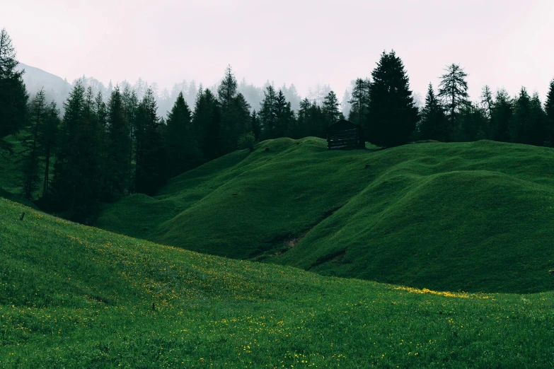 a herd of sheep grazing on top of a lush green hillside, an album cover, by Tobias Stimmer, pexels contest winner, lush evergreen forest, overcast, flower field, dolomites