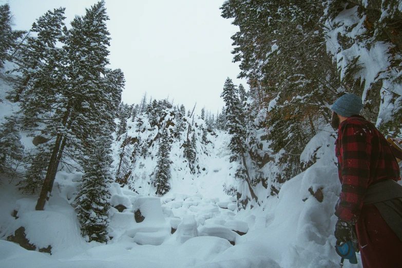 a man riding skis down a snow covered slope, a picture, unsplash, les nabis, mysterious canyon streams, wyoming, 2 0 0 0's photo, high trees