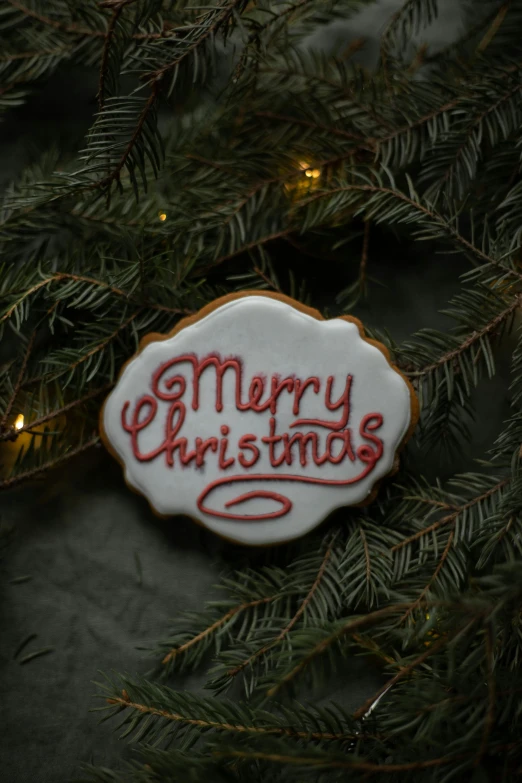 a decorated cookie sitting on top of a christmas tree, a picture, pexels, graffiti, label, classical ornament, merry, made of glazed