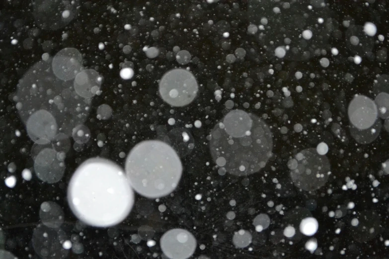 a black and white photo of snow falling, a microscopic photo, inspired by Vija Celmins, glowing orbs, 2 0 % pearlescent detailing, overcast bokeh - c 5, black night sky