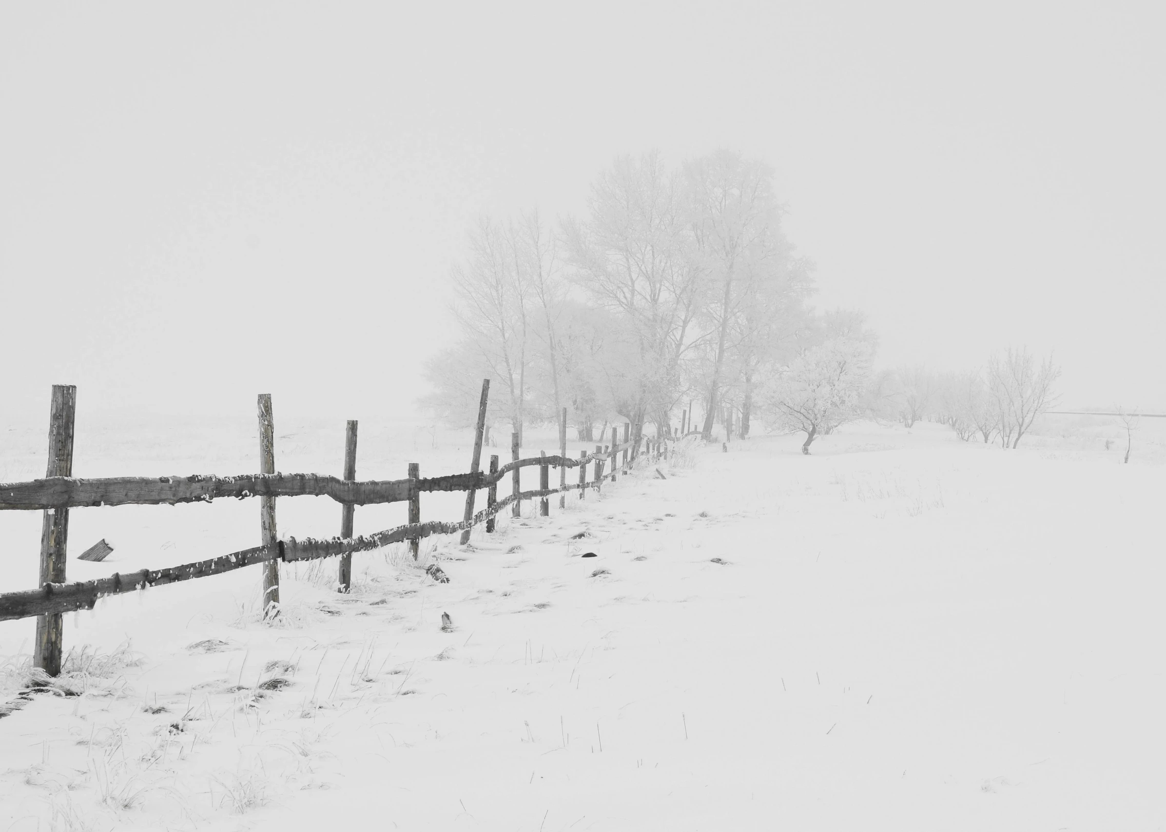 a black and white photo of a fence in the snow, pexels contest winner, snow blizzard in woodland meadow, background image, ukraine. photography, white sky