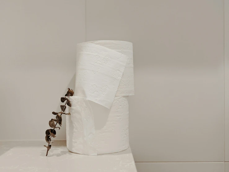 a roll of toilet paper sitting on top of a toilet, inspired by Sarah Lucas, botanical herbarium paper, embossed, white, vessels