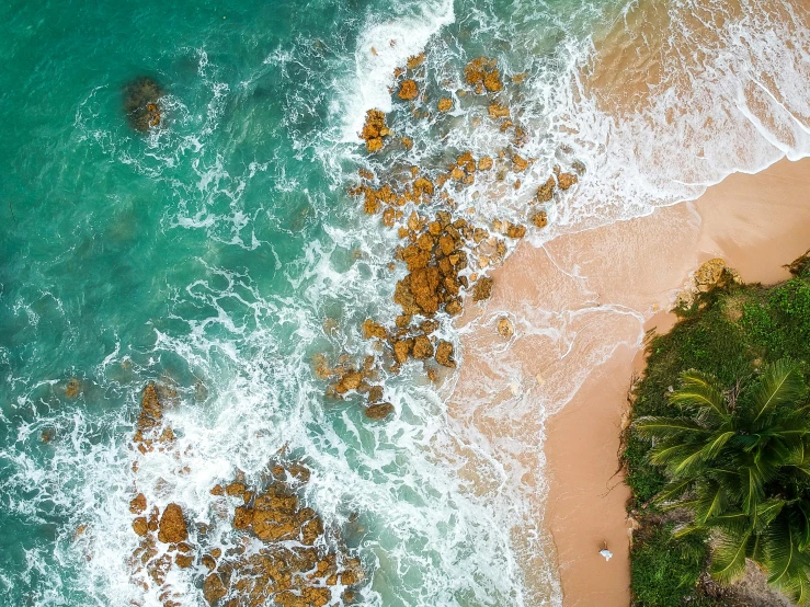 an aerial view of a sandy beach with palm trees, pexels contest winner, waves crashing at rocks, amanda lilleston, alana fletcher, istock