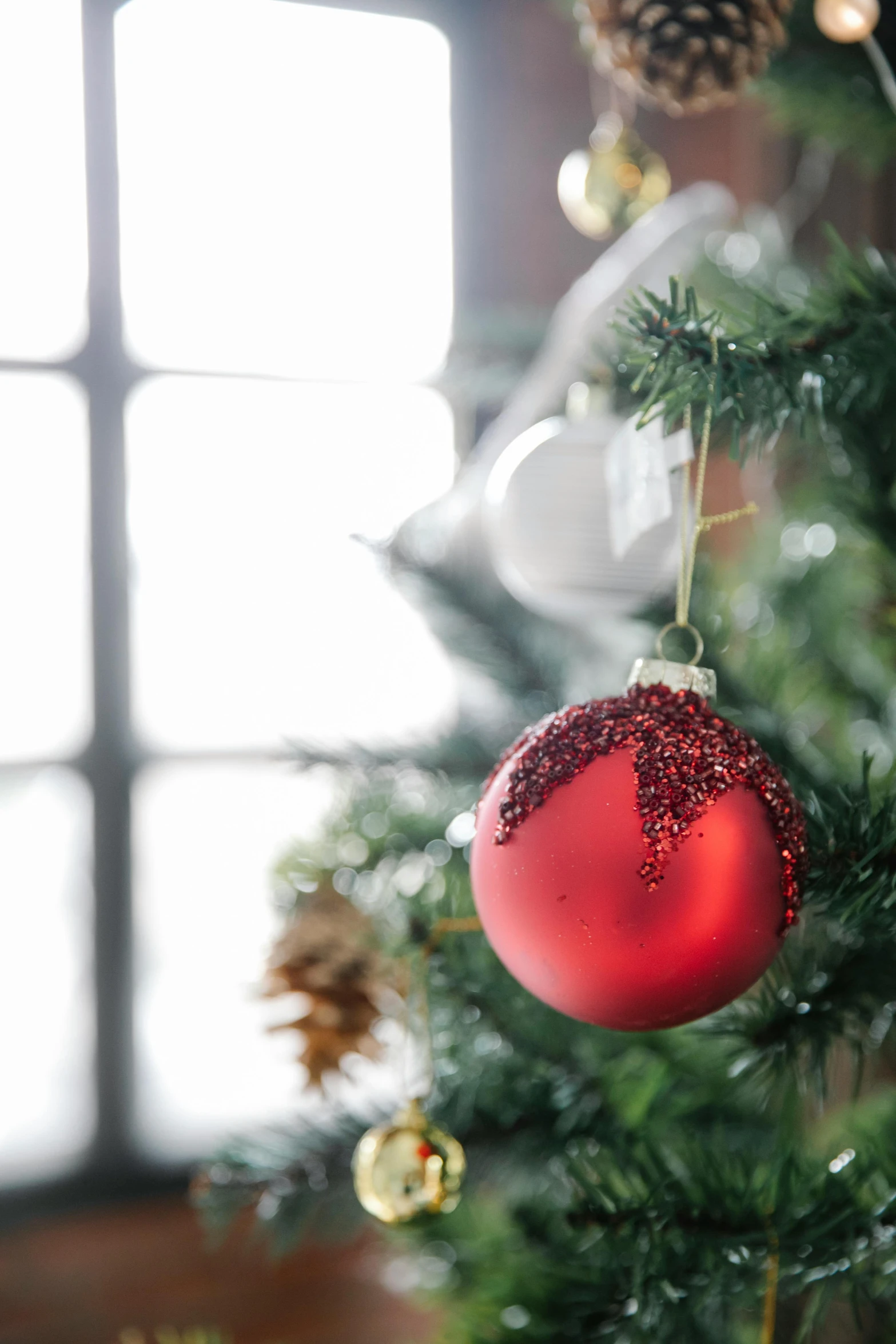 a red ornament hanging from a christmas tree, profile image, at home, full product shot, environmental shot