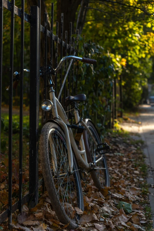 a bicycle that is leaning against a fence, mid fall, well shaded, uplit, neighborhood