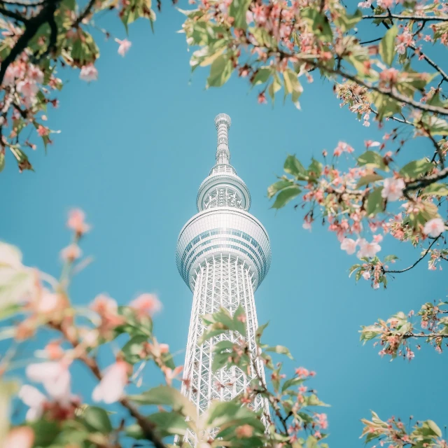 a view of the eiffel tower from below, a picture, unsplash contest winner, ukiyo-e, japanese flower arrangements, japan tokyo skytree, 🚿🗝📝