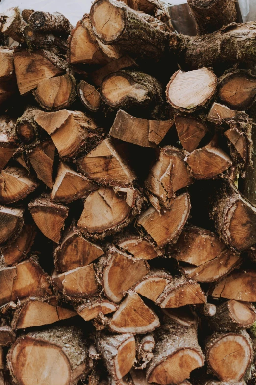 a pile of firewood stacked on top of each other, by Jesper Knudsen, trending on unsplash, ilustration, bottom body close up, brown, profile image