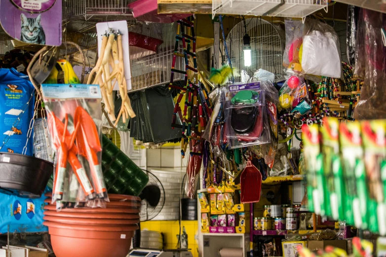 a store filled with lots of different items, a portrait, by Gina Pellón, unsplash, favela honeybee hive, four legged, colorful plastic, things hanging from ceiling