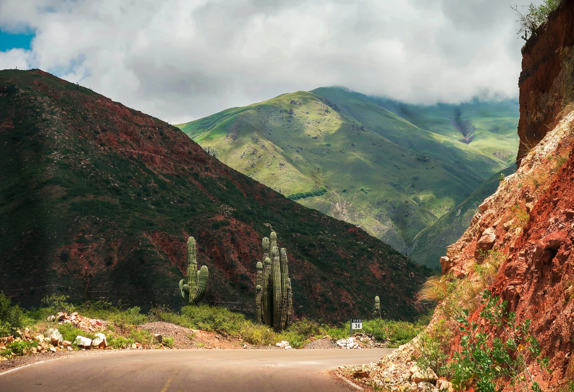 a car driving down a road with mountains in the background, pexels contest winner, les nabis, green and red plants, andes, panoramic, earthy colors