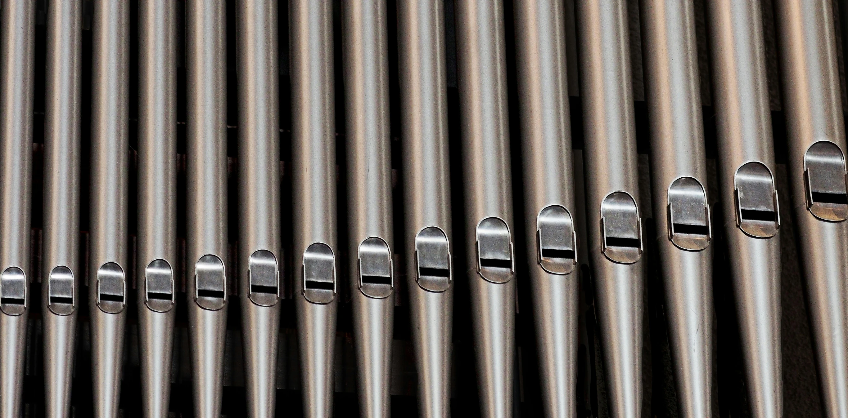 a bunch of pipes sitting next to each other, by Bryan Organ, baroque, symmetrical nostrils, thumbnail, brushed, in a row