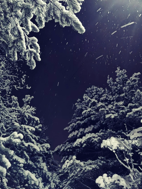 a man riding a snowboard down a snow covered slope, by Lucia Peka, pexels contest winner, hurufiyya, moonlight through trees, back yard, (snow), dark pine trees