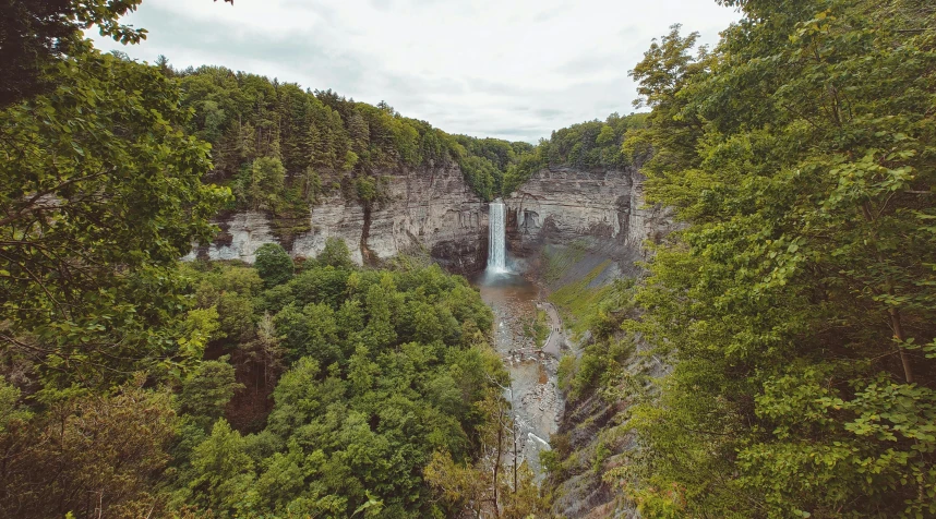 a waterfall flowing through a lush green forest, by Emma Andijewska, pexels contest winner, hudson river school, rocky cliff, high view, grey, high bridges