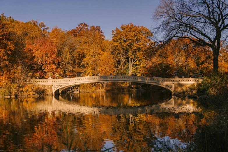 a bridge over a body of water surrounded by trees, inspired by Jasper Francis Cropsey, pexels contest winner, central park, golden hues, thumbnail, white stone arches