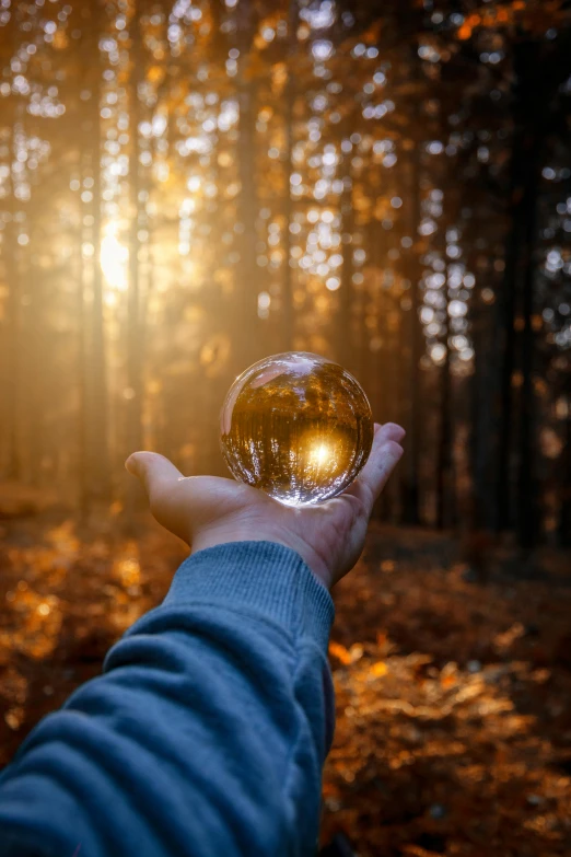 a person holding a crystal ball in a forest, at sunset in autumn, 5 0 0 px, item