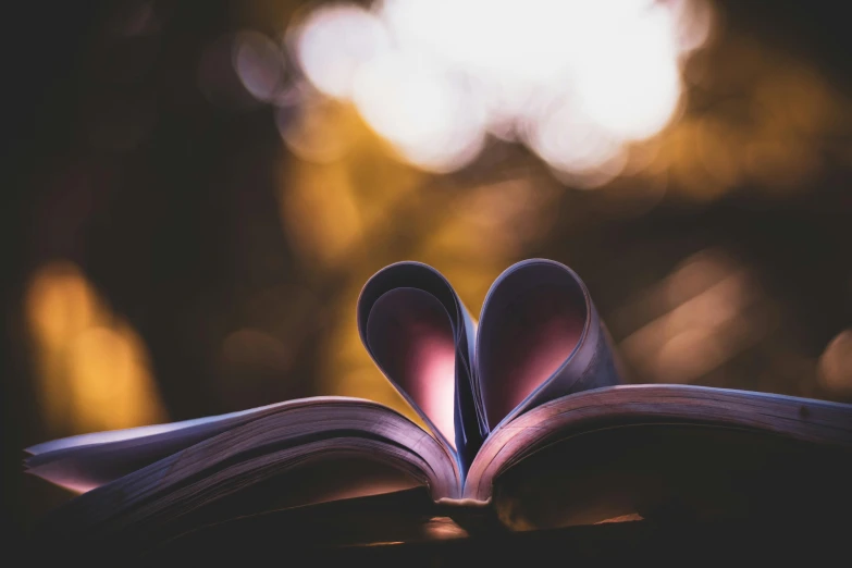 a book with pages folded in the shape of a heart, a picture, pexels contest winner, lovely bokeh, soft vinyl, thumbnail, portrait shot