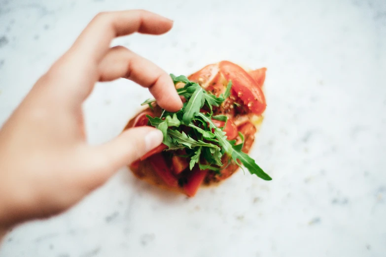 a close up of a person holding a piece of food, by Daniel Lieske, pexels contest winner, fresh basil, 🦩🪐🐞👩🏻🦳, one tomato slice, herbs